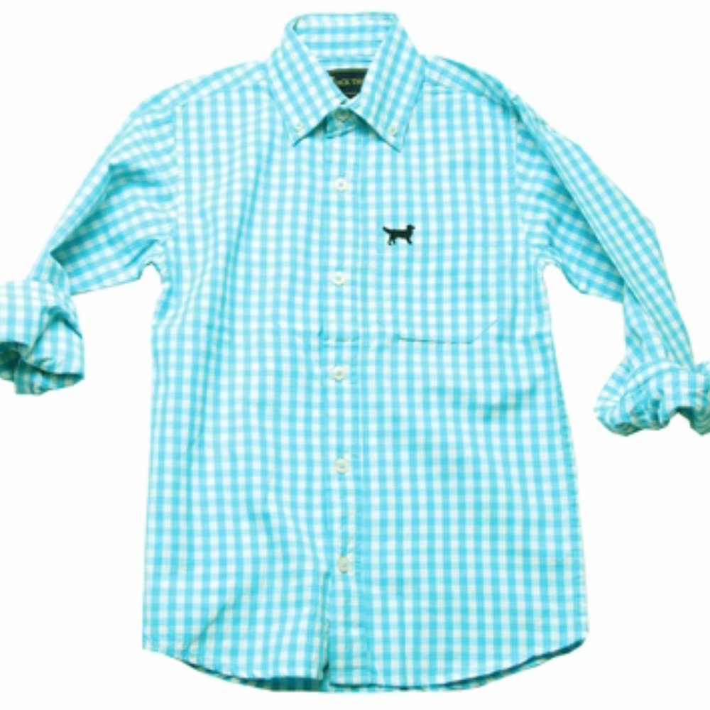 NWT Jack Thomas Boys Long Sleeve Gingham Shirt Aqua Cotton